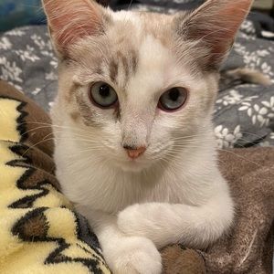 Epic trade for my favorite person ever ✨